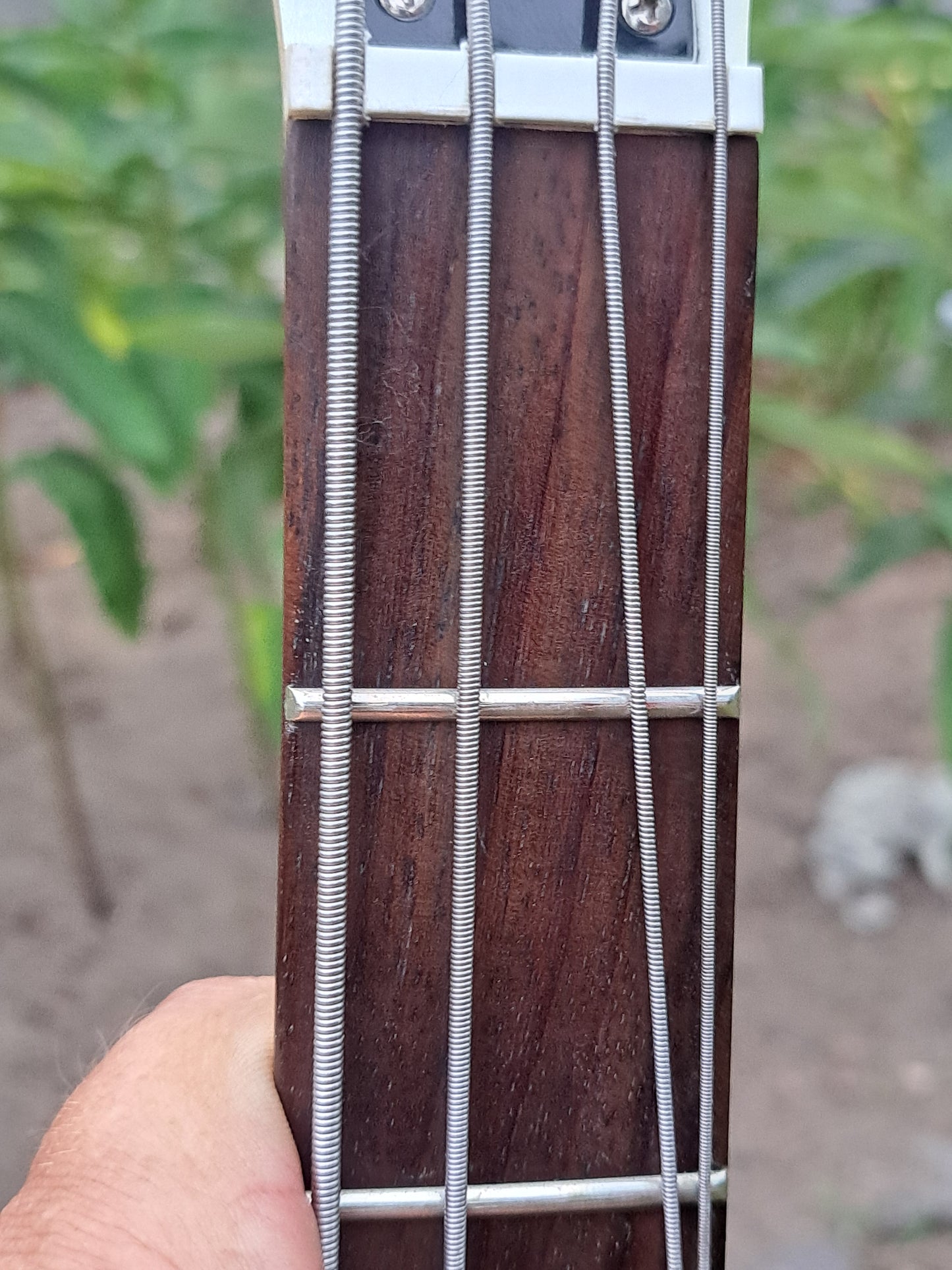 🎸 ARIA DIAMOND ELECTRIC BASS – JAZZ PICKUPS, MOSRITE VIBES, WHITE ICE DRIP 🎸