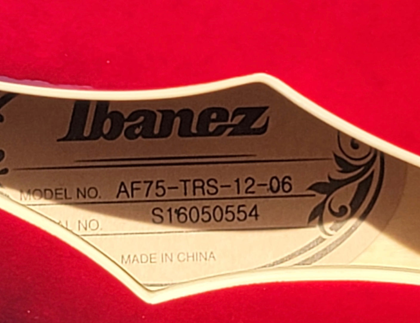 🎸 IBANEZ AF75 HOLLOW BODY ELECTRIC GUITAR – CLEAN, RICH JAZZ TONE! 🎸