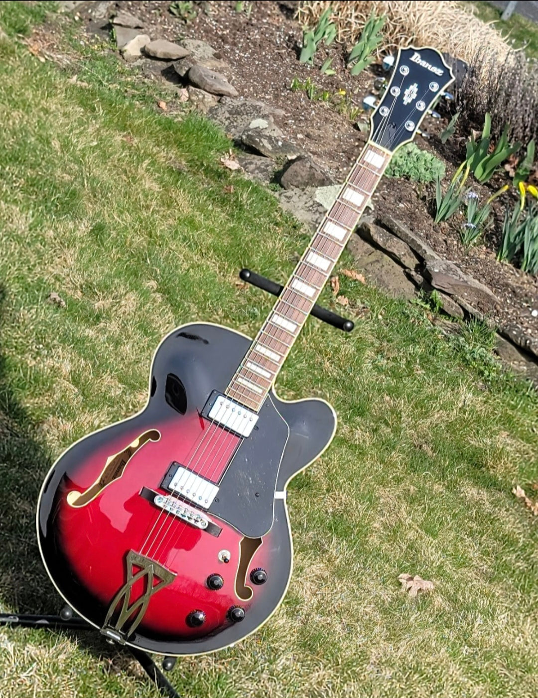 🎸 IBANEZ AF75 HOLLOW BODY ELECTRIC GUITAR – CLEAN, RICH JAZZ TONE! 🎸