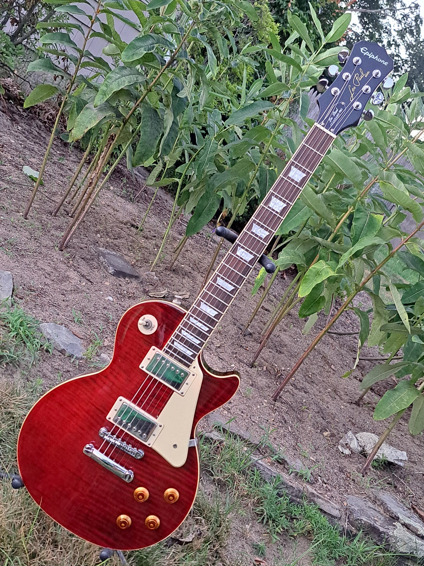 🎸✨ Epiphone Les Paul Standard PlusTop PRO – Translucent Red - Excellent