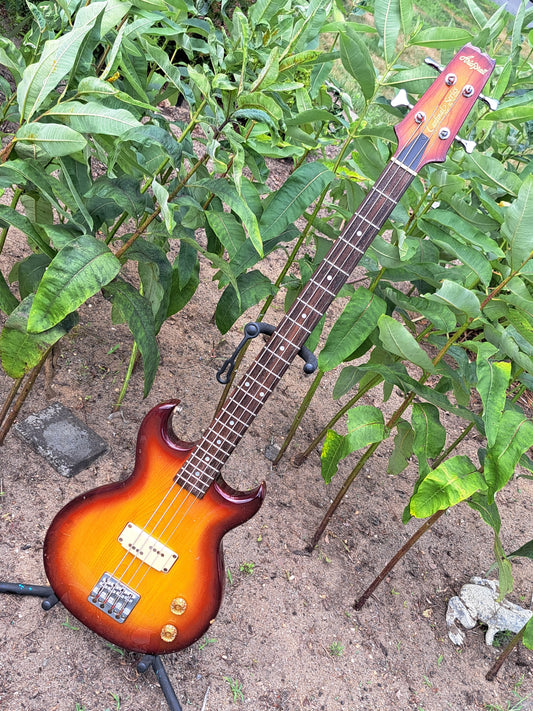 🎸💥 ARIA PRO II CSB-380 CARDINAL SERIES BASS – VINTAGE JAPAN NECK-THRU FUNK BEAST 💥🎸